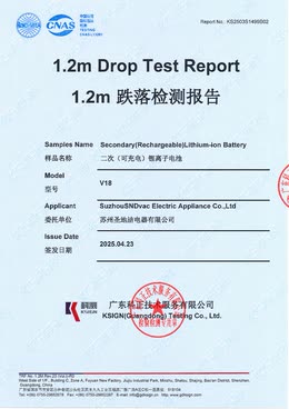 OEM and ODM document preview
